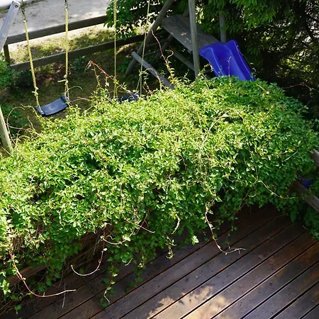 Niebieskie Lato Mieroszyno Jastrzębia Góra Exterior foto