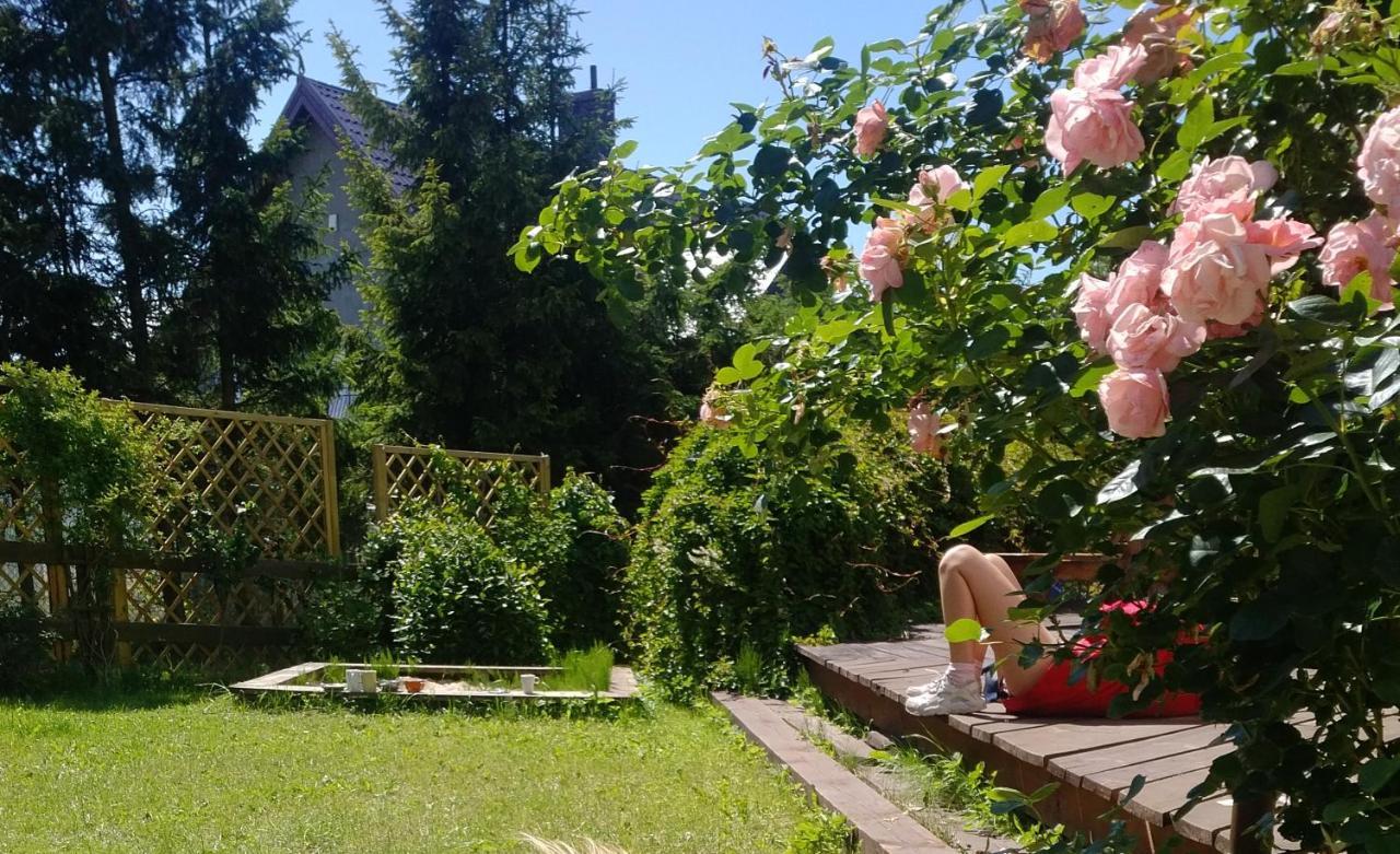 Niebieskie Lato Mieroszyno * Jastrzebia Gora